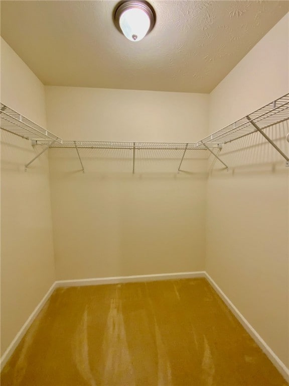 walk in closet featuring carpet floors