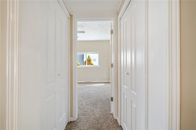 hallway featuring carpet floors