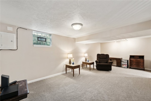 living area with a textured ceiling, electric panel, track lighting, and carpet flooring