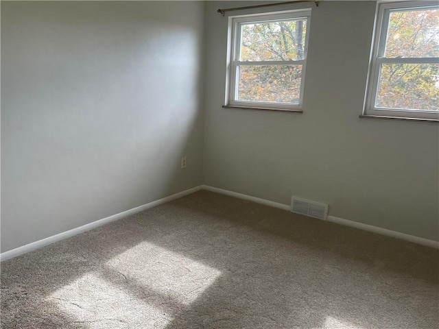 carpeted empty room with plenty of natural light