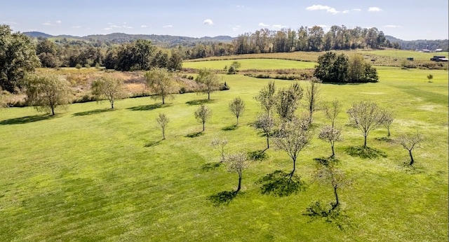 bird's eye view with a rural view