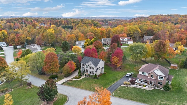 bird's eye view