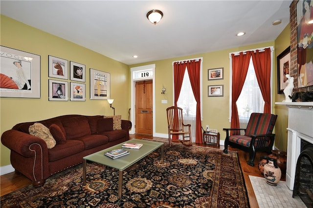 living room with wood-type flooring