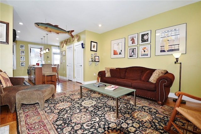 living room featuring hardwood / wood-style floors