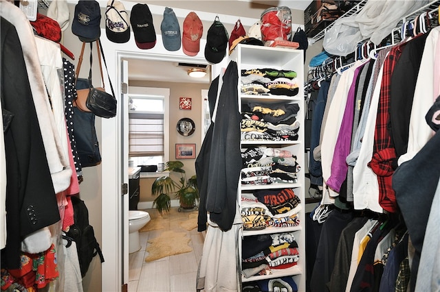 view of spacious closet