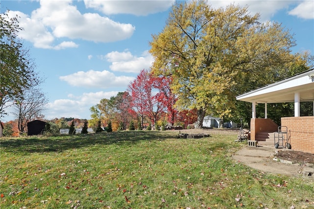 view of yard featuring a storage unit