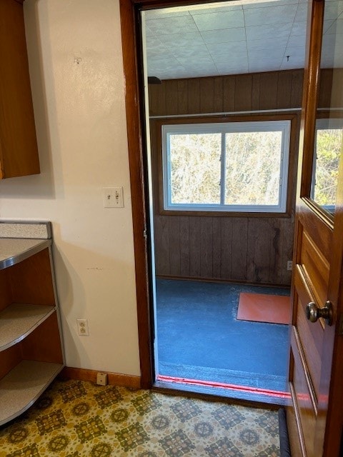 entryway featuring wooden walls and plenty of natural light