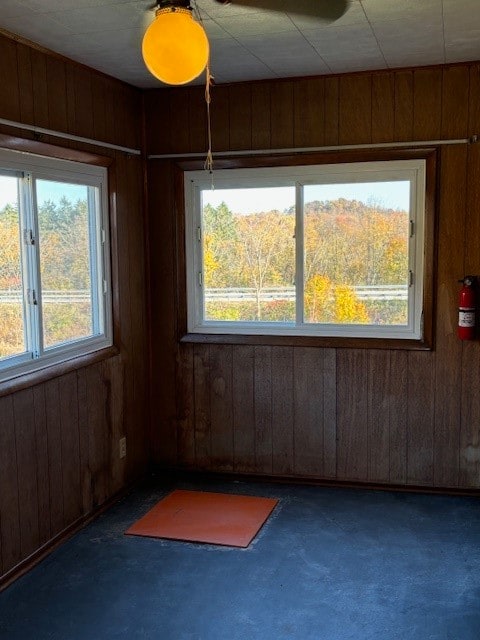 spare room featuring wood walls and plenty of natural light