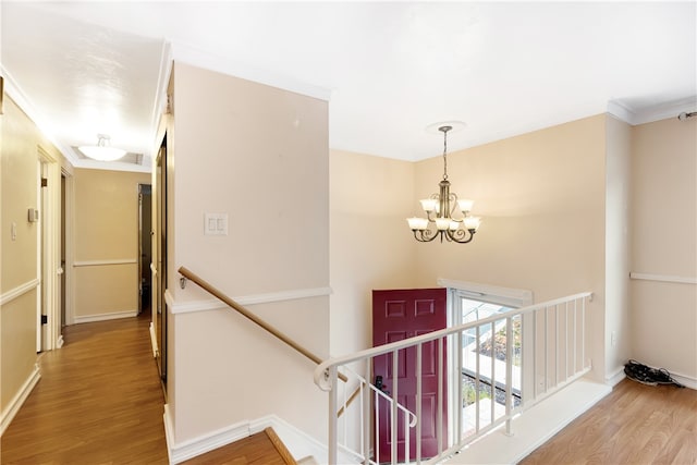 hallway featuring a chandelier, hardwood / wood-style floors, and ornamental molding