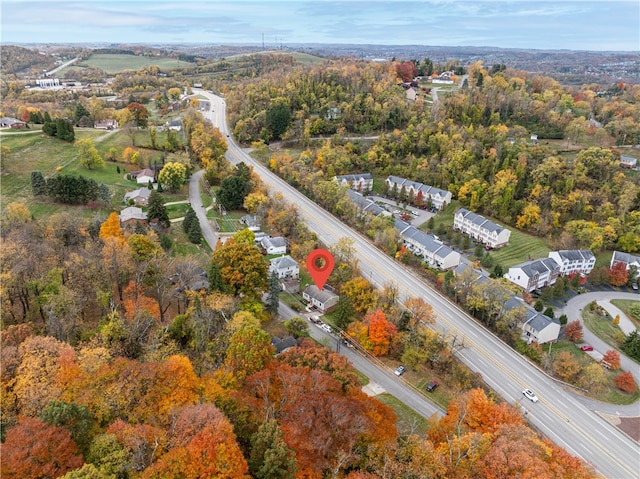 bird's eye view