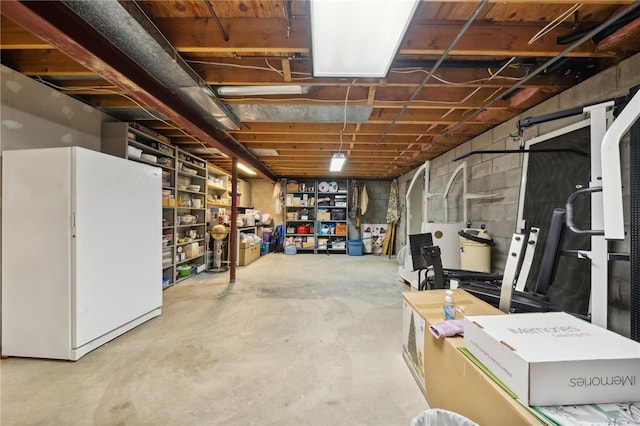 basement with white fridge