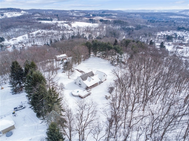 view of snowy aerial view