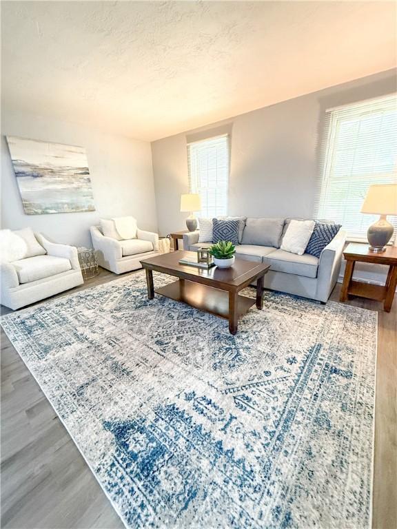 living room with wood finished floors