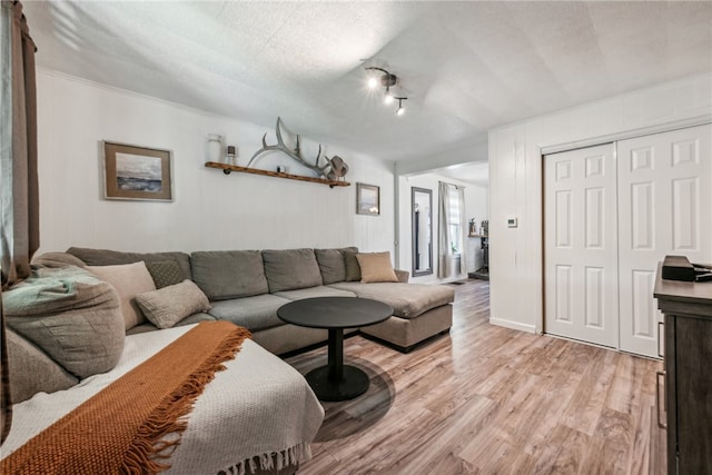 living room with a textured ceiling and light wood-type flooring