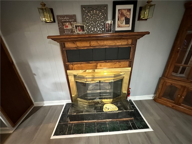 room details featuring a fireplace and hardwood / wood-style flooring