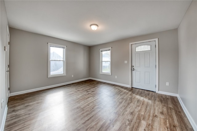 foyer entrance with light wood-type flooring and plenty of natural light