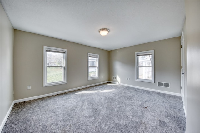 spare room with carpet flooring and a healthy amount of sunlight