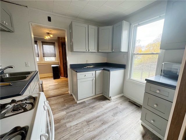 kitchen with light hardwood / wood-style flooring, gray cabinetry, and white gas stove