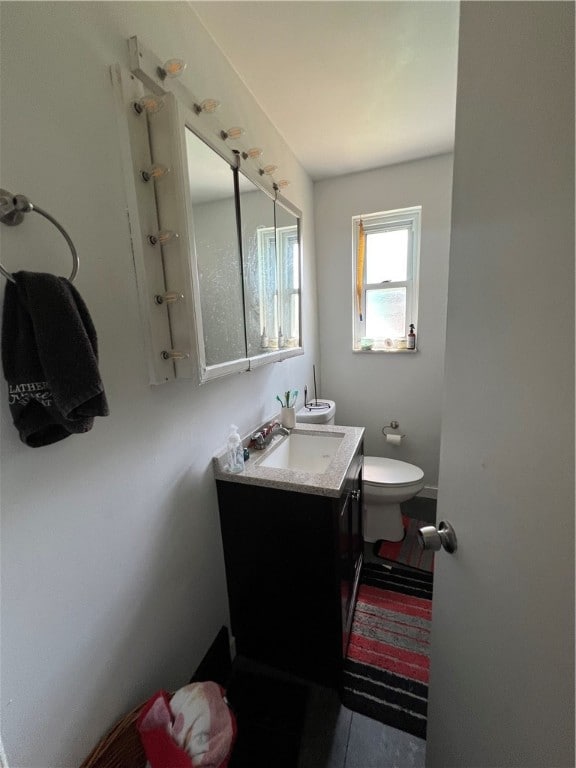 bathroom with toilet and vanity