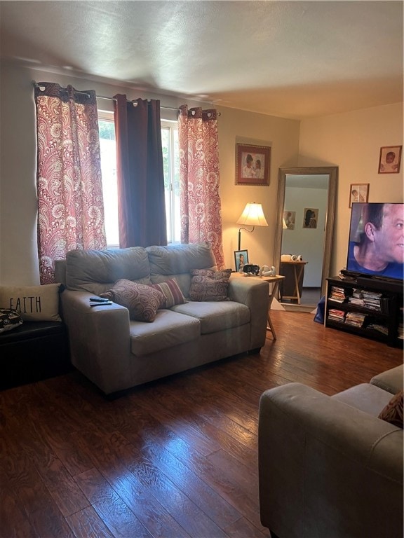 living room with hardwood / wood-style floors