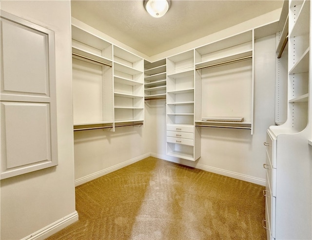 spacious closet featuring light carpet