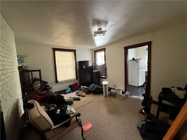 interior space featuring carpet flooring and a textured ceiling