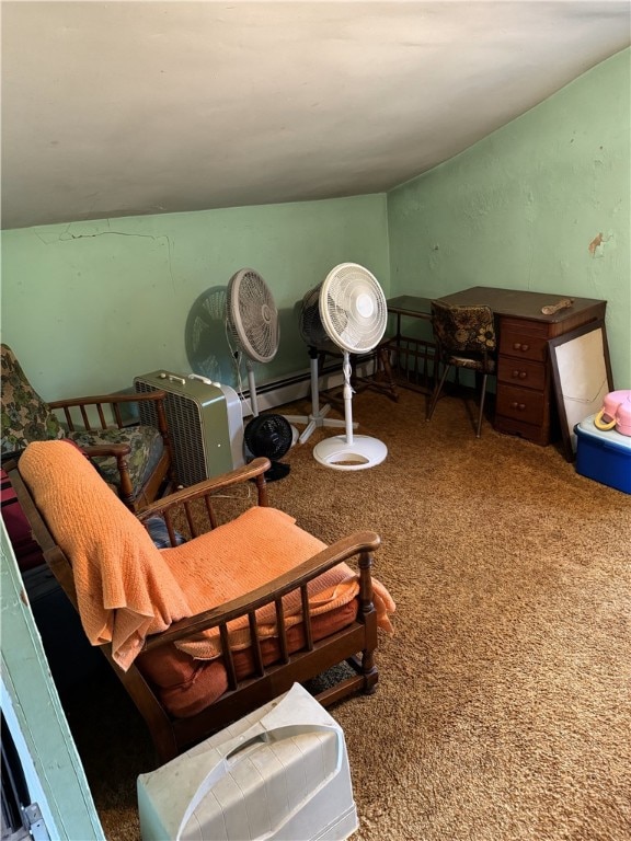 living room with a baseboard radiator and carpet