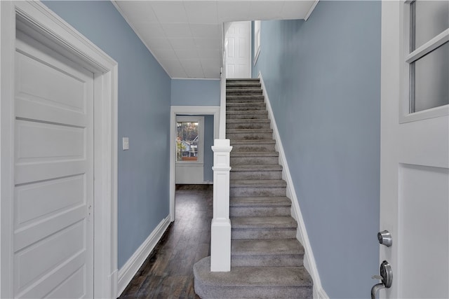 stairway featuring wood-type flooring