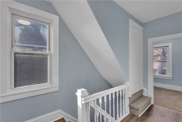 staircase with hardwood / wood-style floors and vaulted ceiling