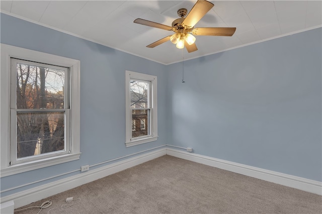 carpeted spare room with ornamental molding and ceiling fan