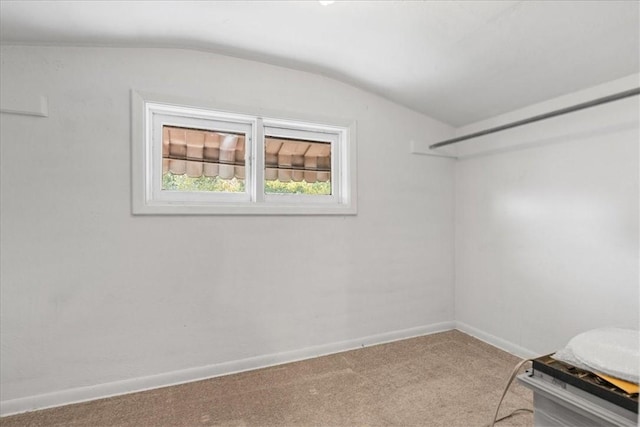 spacious closet with vaulted ceiling and carpet flooring