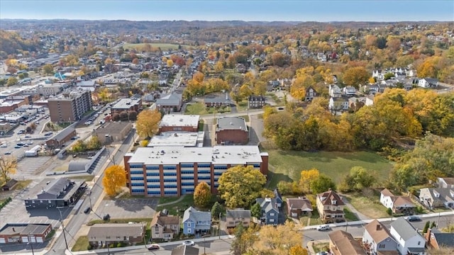bird's eye view