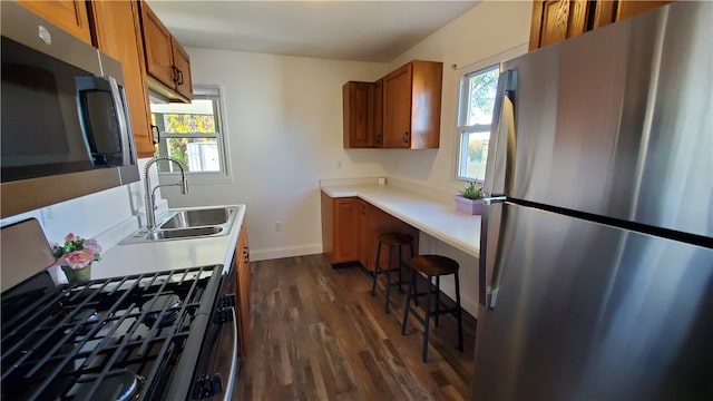 kitchen featuring plenty of natural light, dark hardwood / wood-style flooring, sink, and appliances with stainless steel finishes