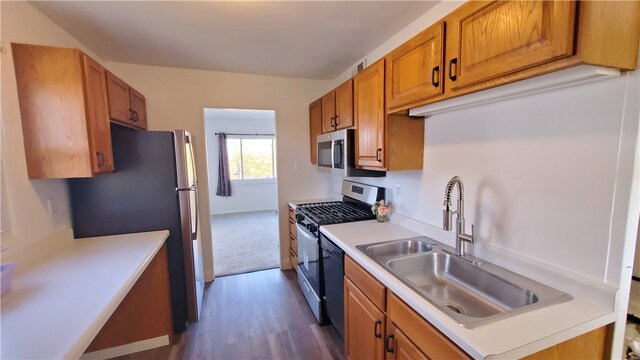 kitchen with sink, stainless steel appliances, and dark wood-type flooring