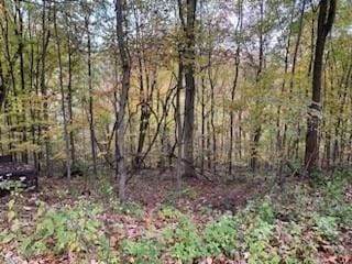 119 Grays Ln, Raccoon Twp, PA 15001 - view of tree filled area