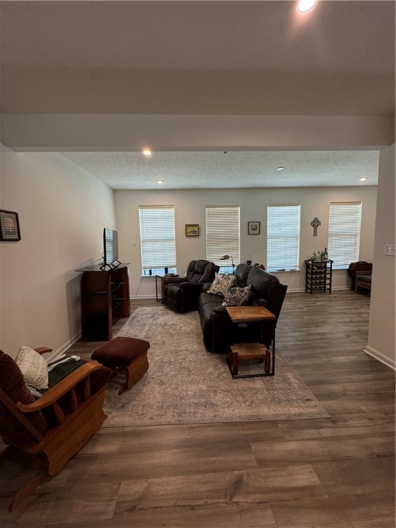 living room with hardwood / wood-style floors, a textured ceiling, and a wealth of natural light