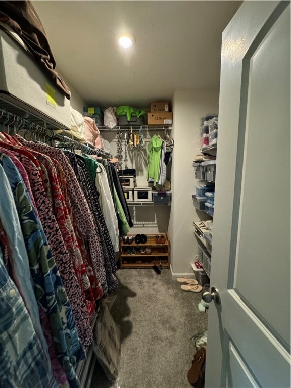 spacious closet featuring carpet