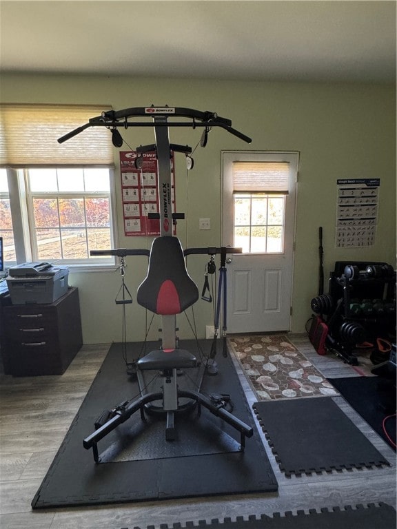 workout area featuring hardwood / wood-style flooring and ceiling fan