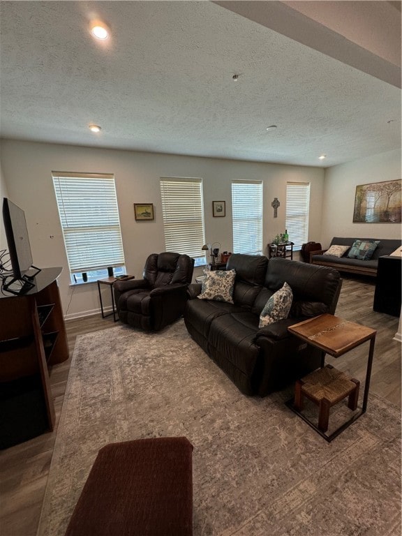 living room featuring a textured ceiling, wood-type flooring, and a healthy amount of sunlight