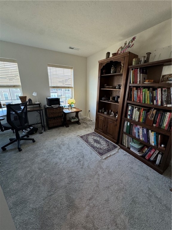 carpeted office space with a textured ceiling