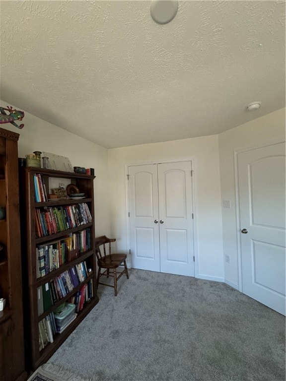 sitting room with a textured ceiling and carpet floors