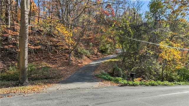 view of road