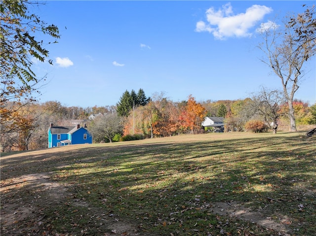 view of yard