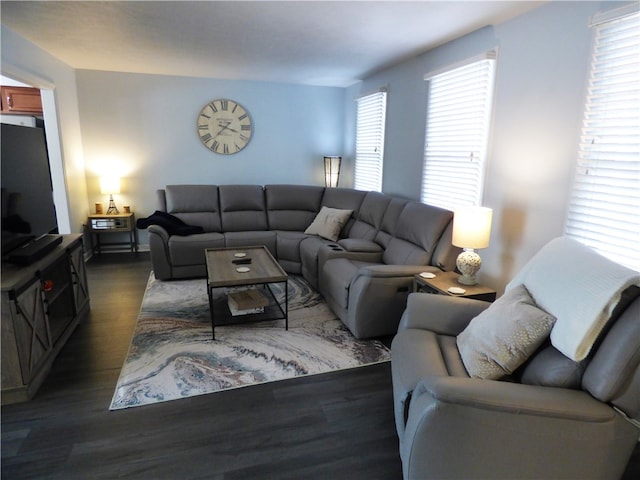 living room featuring dark hardwood / wood-style flooring