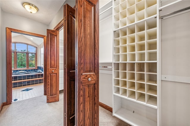 corridor with carpet floors and a textured ceiling