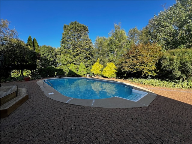 view of pool with a diving board and a patio