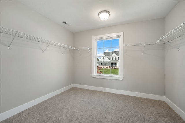 spacious closet with carpet