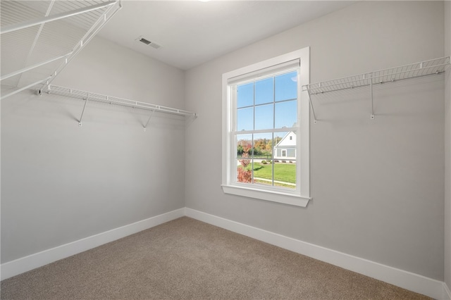 walk in closet featuring carpet floors