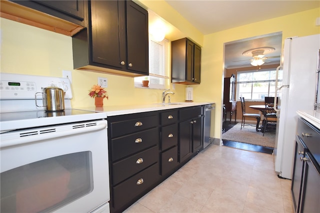 kitchen featuring sink, dark brown cabinets, white appliances, and ceiling fan