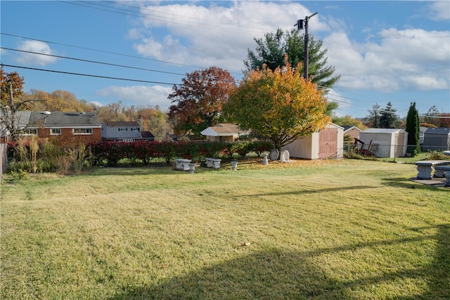 view of yard with a storage unit